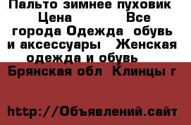 Пальто зимнее пуховик › Цена ­ 2 500 - Все города Одежда, обувь и аксессуары » Женская одежда и обувь   . Брянская обл.,Клинцы г.